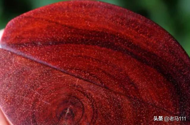 小叶紫檀的鉴别方法（小叶紫檀辨别真假鉴别）