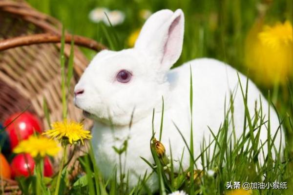 哄女友甜甜的睡前故事_哄女友睡前故事甜甜的那种