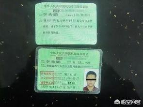 蓝牌黄牌_蓝牌黄牌和绿牌的区别