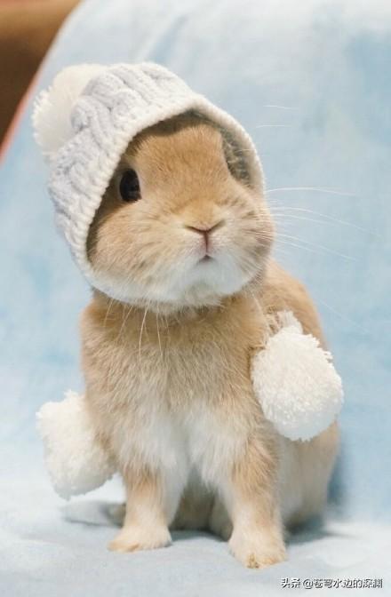 简单故事短故事_简单故事短故事对话版