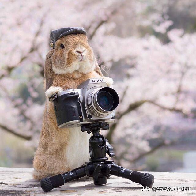 简单故事短故事_简单故事短故事对话版