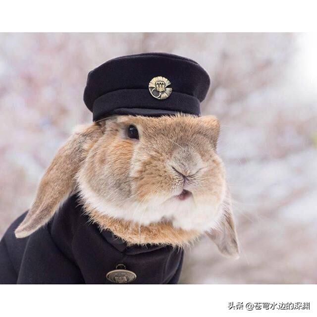 简单故事短故事_简单故事短故事对话版