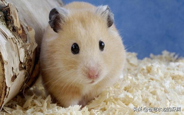 简单故事短故事_简单故事短故事对话版