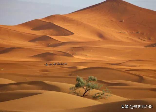 世界自然奇观_bbc世界自然奇观