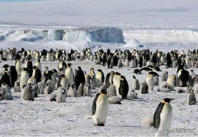 世界自然奇观_bbc世界自然奇观