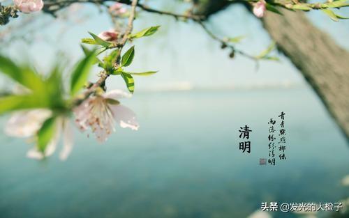 清明手抄报内容大全_清明手抄报内容大全四年级
