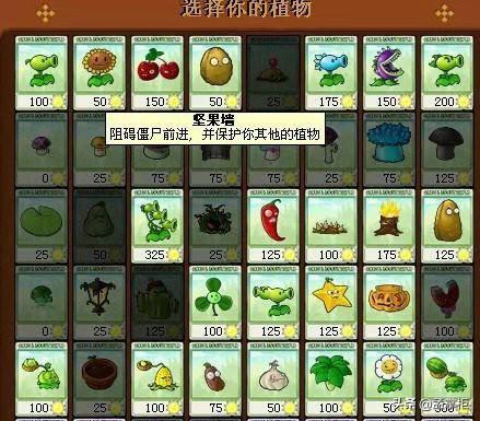 僵尸鬼故事短篇超吓人_恐怖的僵尸故事
