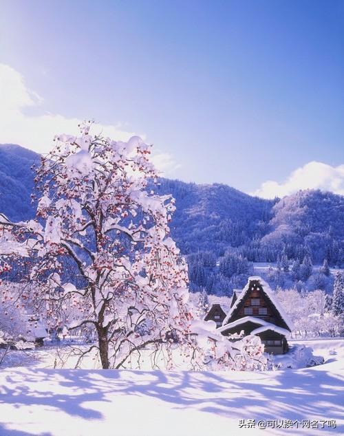 历史故事的成语还有哪些（历史故事的成语有哪些成语）