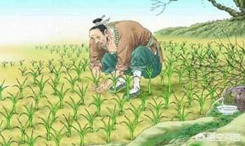 20个经典寓言故事小学生（20个经典寓言故事小学生三年级）