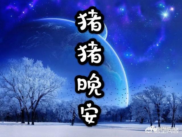 睡前小故事哄女朋友的长篇（睡前故事哄女朋友短小）