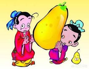 孔融让梨告诉我们什么道理（孔融让梨的品质）