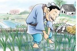 拔苗助长告诉什么道理（拔苗助长告诉了我们什么启示）