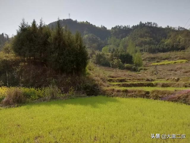 塞翁失马的故事有什么意义（塞翁失马这个故事告诉了我们什么）